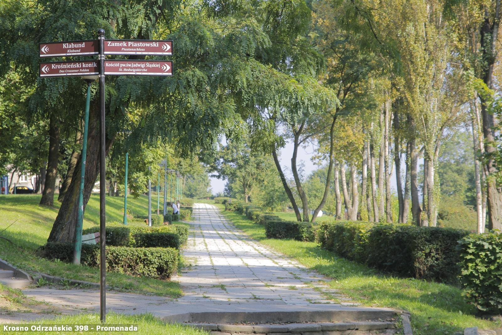 36240085 1817279794998847 6122545725206167552 o